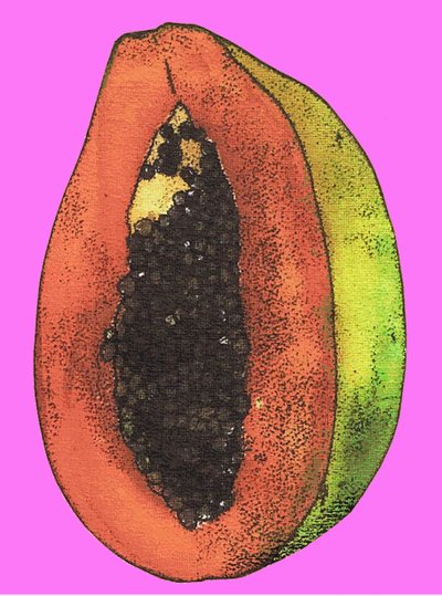 Papaya, 2009 von Sarah Thompson Engels